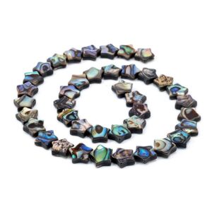 Star paua shell beads