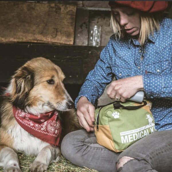 Portable Pet First Aid Kit (1)